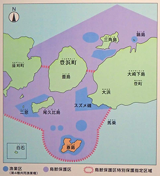アビの海