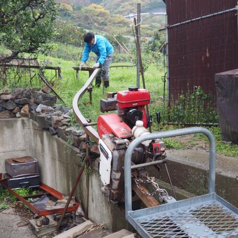 末岡大長レモン