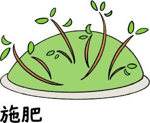 施肥 SEHI