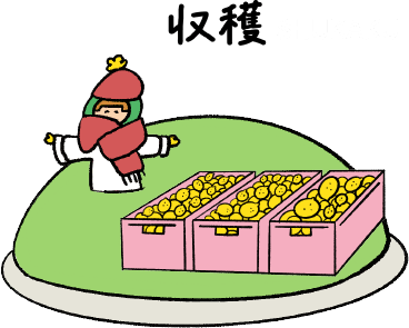 収穫